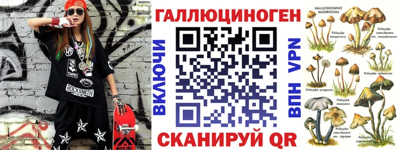 Псилоцибиновые грибы Psilocybe  Купить где  Новоаннинский 