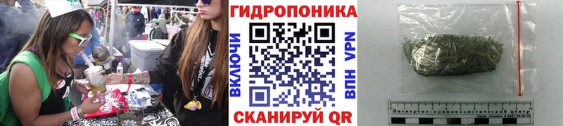 Купить где  Новоаннинский  Канабис тримм 